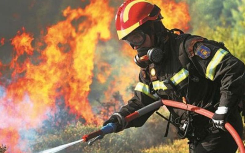 Φωτογραφία αρχείου: Πυροσβέστης κατά τη διάρκεια κατάσβεση δασικής πυρκαγιάς