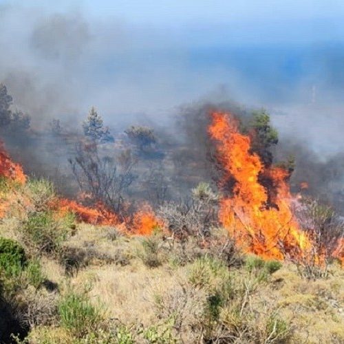 ΑΝΕΞΕΛΕΓΚΤΗ Η ΦΩΤΙΑ ΣΤΗ ΧΙΟ – Μέσα στο χωριό Κηπουριές οι φλόγες