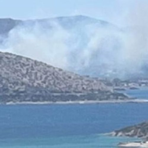 «ΣΥΝΑΓΕΡΜΟΣ» στην Παλαιά Φώκαια – Εκκένωση με 112 – Η φωτιά πλησιάζει σπίτια