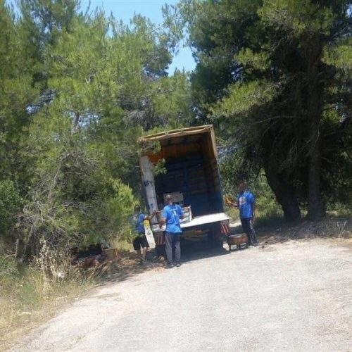 Κάναμε τα δάση σκουπιδότοπο – Πετάνε παλέτες στο δάσος και μετά… κλαίμε για τις φωτιές! (ΒΙΝΤΕΟ)