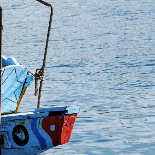 Πτήσεις Πολυτελείας: Η Ισπανία μεταφέρει μετανάστες από την Τενερίφη – Ποιος πληρώνει το οικονομικό κόστος και το αποτύπωμα άνθρακα της ‘Αεροπορικής  Γέφυρας’; ( Βίντεο)
