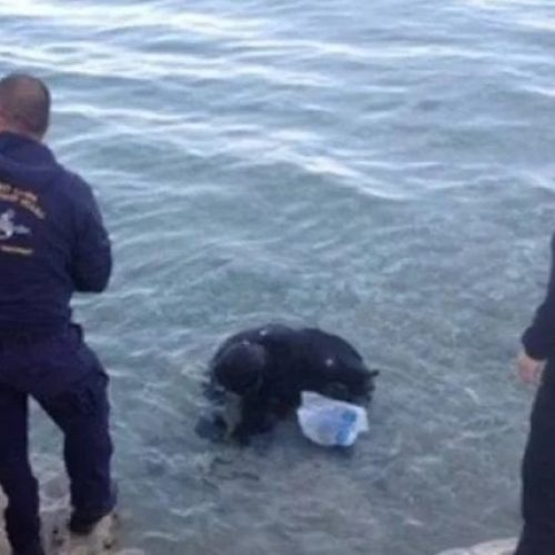 ΘΡΙΛΕΡ ΣΤΗΝ ΠΑΤΡΑ: Κολυμβητής «ψάρεψε» όπλα από τον βυθό της θάλασσας