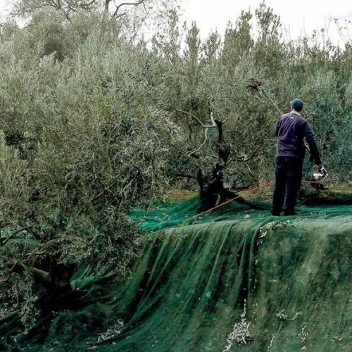 Ο νόμος που τελειώνει τους παραγωγούς
