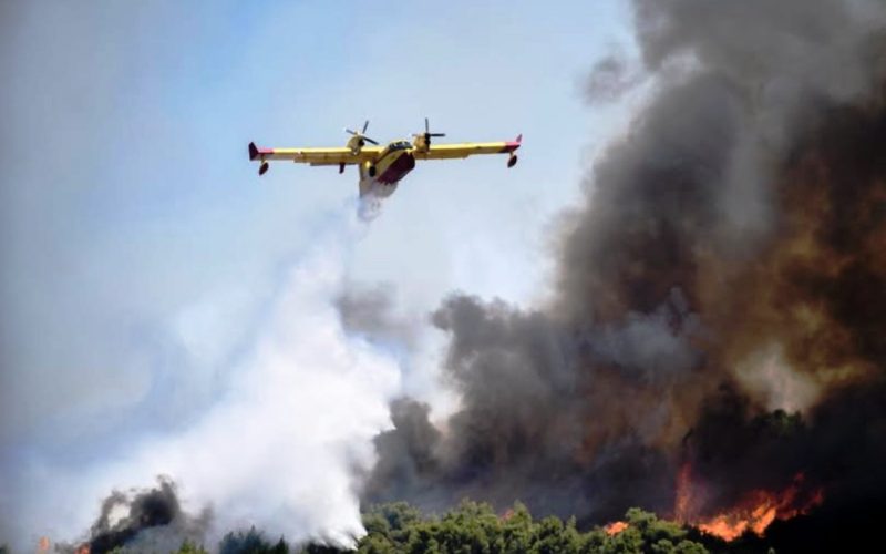 Πυρκαγιές σε δασικές εκτάσεις σε Σκόπελο και Αχαΐα