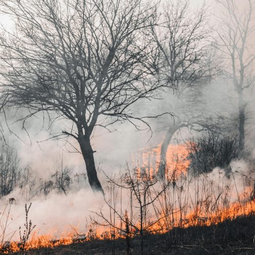 Πολύ υψηλός κίνδυνος πυρκαγιάς αύριο σε Αττική, Εύβοια, Αιγαίο και Κρήτη