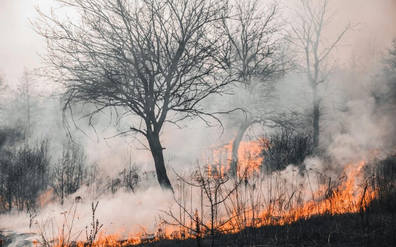 Πολύ υψηλός κίνδυνος πυρκαγιάς αύριο σε Αττική, Εύβοια, Αιγαίο και Κρήτη