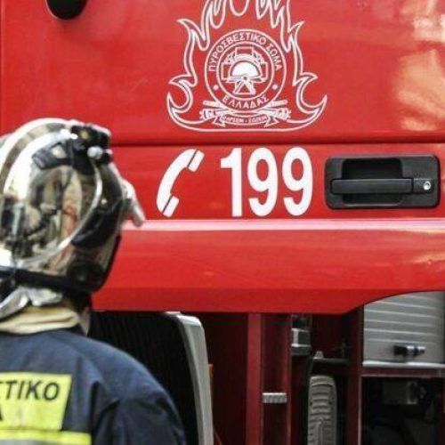 Αχαΐα: Σύλληψη άνδρα που επιτέθηκε σε πυροσβέστες ενώ έσβηναν φωτιά στην αυλή του