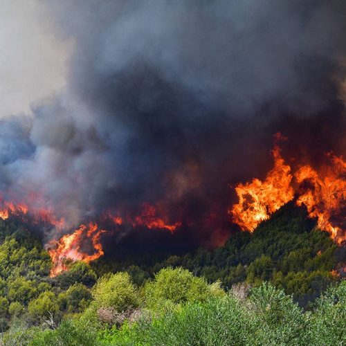 Προειδοποίηση για πυρκαγιές: Σε κατάσταση αυξημένης επιφυλακής πολλές περιοχές της Ελλάδας
