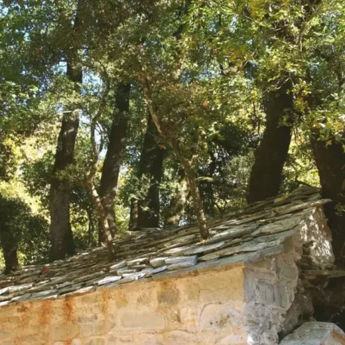 <p>eurokinissi</p>
