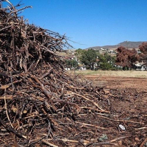 Αναμένεται παράταση στις δηλώσεις για τα ακαθάριστα οικόπεδα