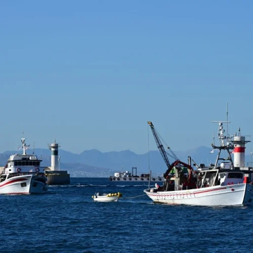 Αναστέλλουν τις κινητοποιήσεις τους οι αλιείς