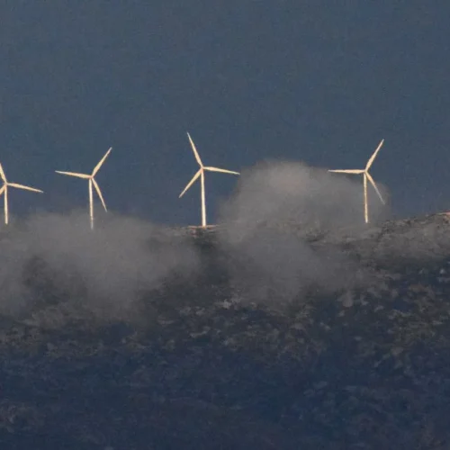 Οι θαυμαστές ΜΠΙΖΝΕΣ ΤΗΣ ΤΕΡΝΑ στις στάχτες του Έβρου