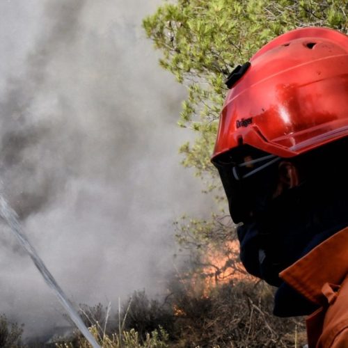 Φωτιά στο Μαρκόπουλο Αττικής – Υπό έλεγχο η κατάσταση