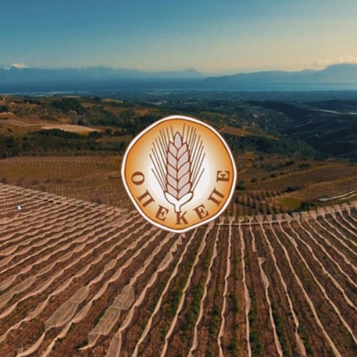 ΞΕΚΙΝΑΕΙ Ο ΟΠΕΚΕΠΕ