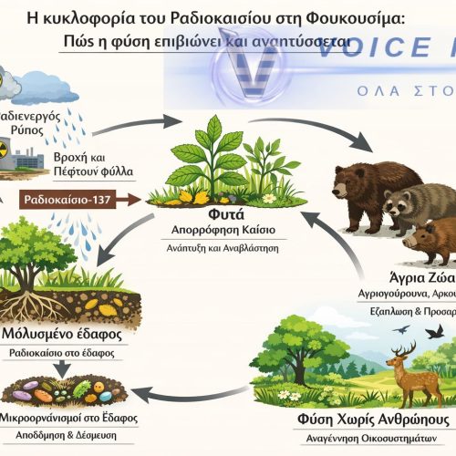 Φουκουσίμα: Οι πόλεις που πάγωσαν στο χρόνο – η φύση ανθίζει ενώ οι άνθρωποι διστάζουν να επιστρέψουν