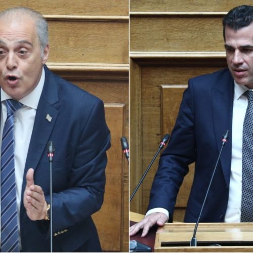 Ο Πλεύρης σε γραμμή Βελόπουλου… αλλά