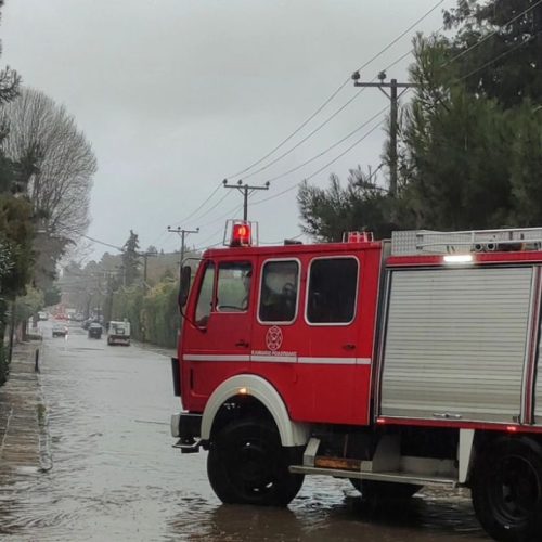 Ζάκυνθος στο έλεος της κακοκαιρίας: Δρόμοι ποτάμια και δέντρα σωριάζονται από τους ανέμους