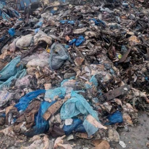 Περιβαλλοντικό σοκ στην Πρέβεζα: Τόνους ζωικών αποβλήτων έθαψαν σε αυλή εταιρείας – Τρεις συλλήψεις και αποτρόπαιες εικόνες