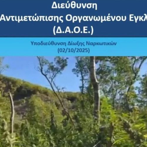Στα σύνορα του Πωγωνίου: Αλβανοί καλλιεργούσαν 1.650 δενδρύλλια κάνναβης