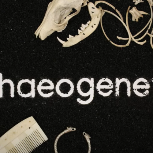 Από το Αρχαίο DNA στην σύγχρονη συμπεριφορά: Η Γενετική Ιστορία της Ευρωπαϊκής Εξωστρέφειας