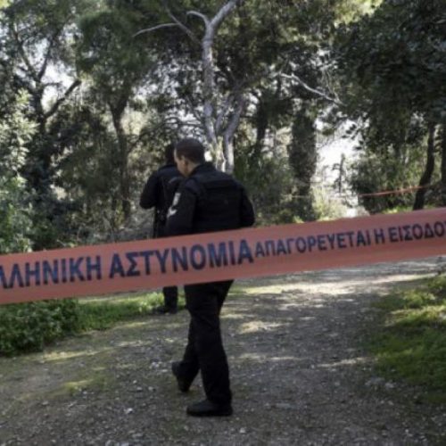 «Απαντήσεις» στο «ΘΡΙΛΕΡ» με δύο «ΠΤΩΜΑΤΑ» που είχαν βρεθεί σε δάσος στη Θεσσαλονίκη