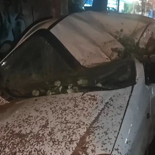 Κακοκαιρία: δέντρο ισοπέδωσε αυτοκίνητο στην Hλιούπολη