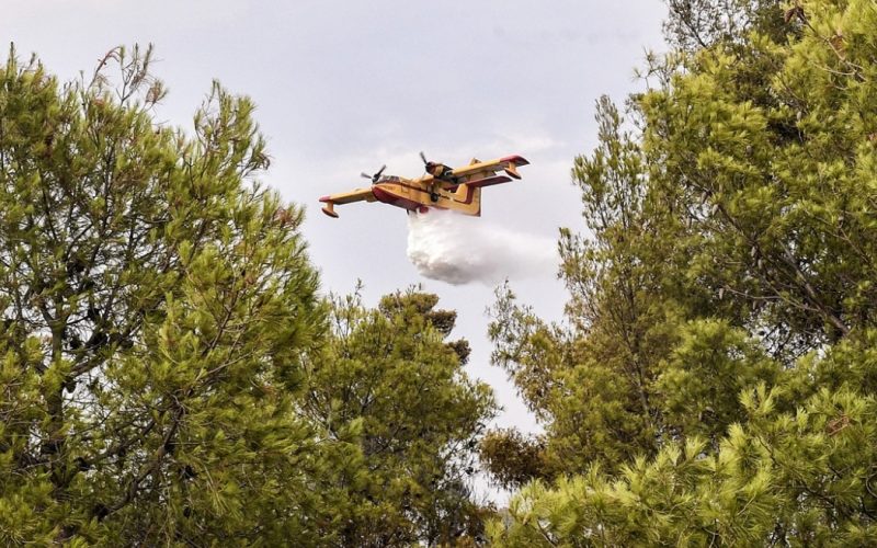 Ηλεία: Πυρκαγιά στον Αγιο Κωνσταντίνο