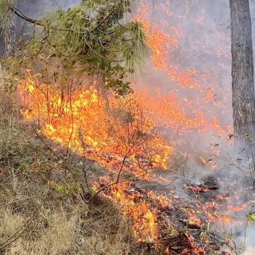 Πυροσβεστική: 37 αγροτοδασικές πυρκαγιές το τελευταίο 24ωρο