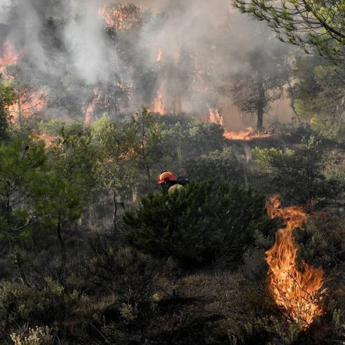 Είχε συλληφθεί και στο παρελθόν για εννέα εμπρησμούς ο 40χρονος που έβαλε φωτιές σε δασική έκταση στην Χαλκίδα