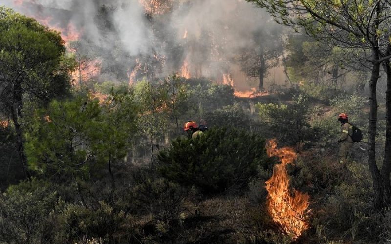 Είχε συλληφθεί και στο παρελθόν για εννέα εμπρησμούς ο 40χρονος που έβαλε φωτιές σε δασική έκταση στην Χαλκίδα
