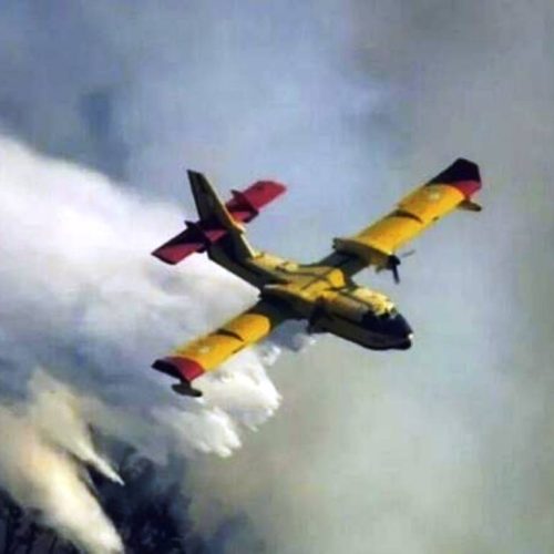 Φωτιά τώρα στην Επίδαυρο