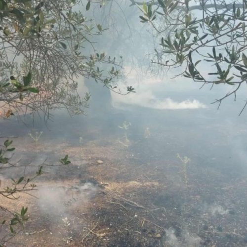 Μυτιλήνη: «ΦΩΤΙΑ» σε αγροτική περιοχή στην Αγία Παρασκευή