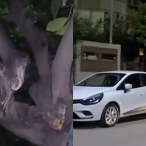Τραγικό δυστύχημα στην Ελευσίνα: 44χρονη παρέσυρε κατά λάθος τη μητέρα της κατά τη στάθμευση