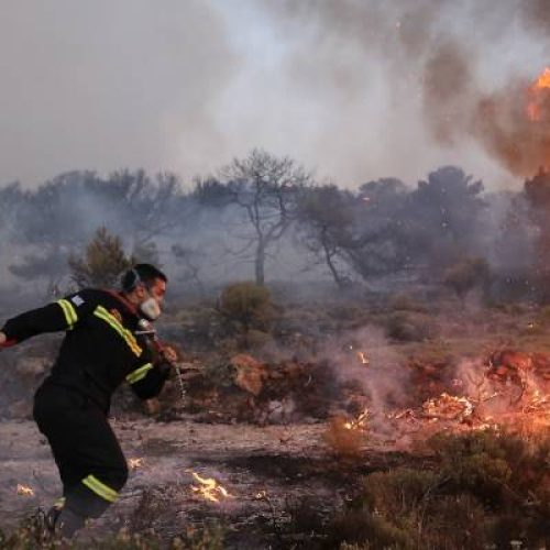 Μεσσήνη: 60χρονος κατηγορούμενος για εμπρησμούς αφέθηκε ελεύθερος και έβαλε ξανά φωτιές