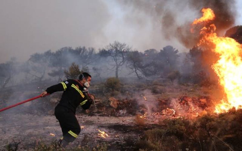 Μεσσήνη: 60χρονος κατηγορούμενος για εμπρησμούς αφέθηκε ελεύθερος και έβαλε ξανά φωτιές