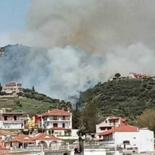 Υπό έλεγχο η φωτιά που ξέσπασε στον Αστακό Αιτωλοακαρνανίας