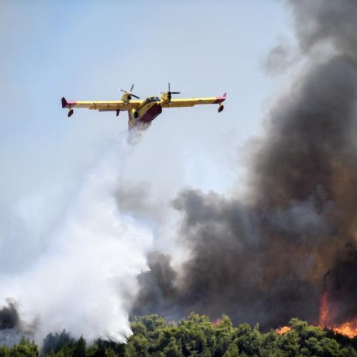 ΦΩΤΙΑ στη Φθιώτιδα – «ΙΣΧΥΡΕΣ» δυνάμεις της Πυροσβεστικής στη «μάχη» με τις φλόγες