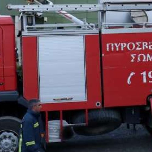 Μάνδρα Αττικής: Aσκηση της πυροσβεστικής για δασική πυρκαγιά με συμμετοχή εναέριων μέσων