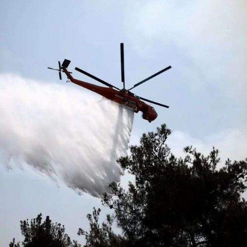 Φωτιά μαίνεται στον Άγιο Ονούφριο Μαγνησίας – Εναέρια μέσα επιχειρούν για τον περιορισμό της!