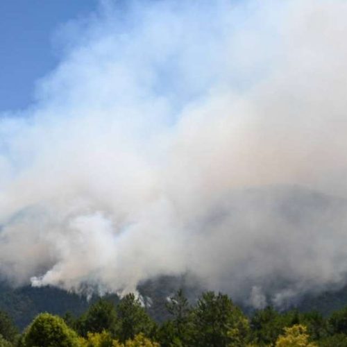 Χορτιάτης: Στα χέρια της αστυνομίας δράστης για φωτιά – Πρόστιμο 4.300€