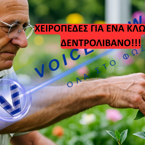 «ΤΟ ΚΡΑΤΟΣ ΔΙΚΑΙΟΥ ΕΓΙΝΕ ΚΡΑΤΟΣ ΝΤΡΟΠΗΣ» ΦΥΛΑΚΗ ΓΙΑ ΕΝΑ ΚΛΑΔΑΚΙ ΔΕΝΤΡΟΛΙΒΑΝΟΥ! ΔΕΙΤΕ ΤΟ ΒΙΝΤΕΟ