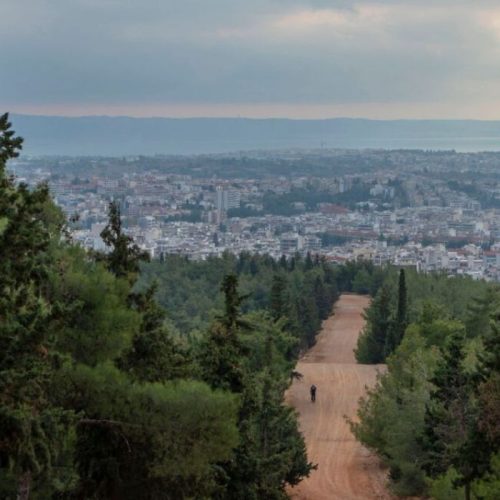 Σέιχ-Σου: 52χρονος σφαγίασε αρνί για έθιμο – Διώκεται από τις Αρχές!