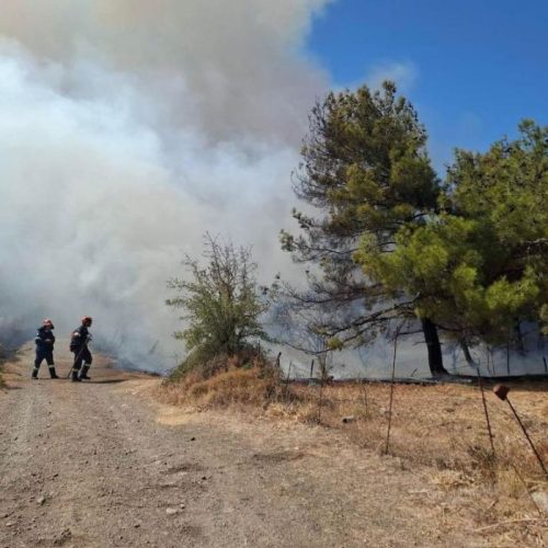 Φωτιά στη Βρίσα: 20χρονος καταδικάστηκε για εμπρησμό από αμέλεια στη Λέσβο