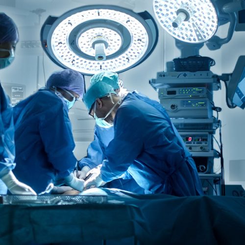 Ιατρική επανάσταση – Έγινε η πρώτη μεταμόσχευση ήπατος από χοίρο σε άνθρωπο