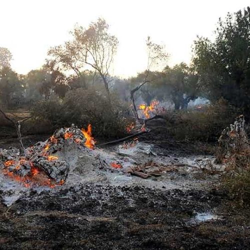ΕΛΓΑ: Αφήνει χωρίς αποζημίωση πληγέντες αγρότες από φωτιά