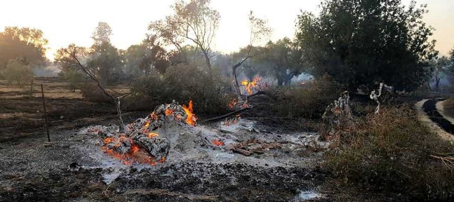 ΕΛΓΑ: Αφήνει χωρίς αποζημίωση πληγέντες αγρότες από φωτιά