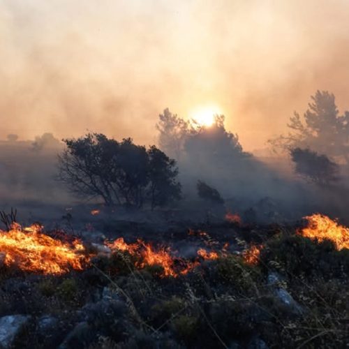 Σε κατάσταση κινητοποίησης «Red Code» Αττική και ΠΕ Εύβοιας, Χίου και Λέσβου αύριο λόγω πολύ υψηλού κινδύνου πυρκαγιάς