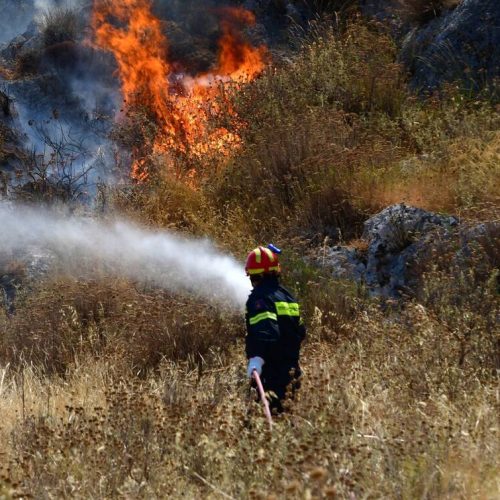 Τρίκαλα και Κάρυστος: Δύο συλλήψεις για πυρκαγιές από πρόθεση και αμέλεια