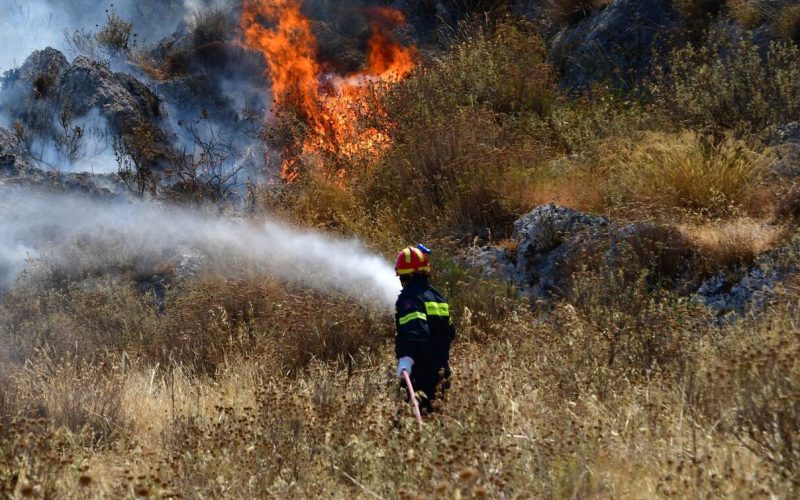 Τρίκαλα και Κάρυστος: Δύο συλλήψεις για πυρκαγιές από πρόθεση και αμέλεια