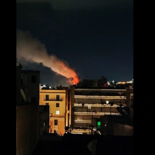 Φωτιά σε άλσος στη Δάφνη κοντά στον σταθμό Μετρό «Άγιος Ιωάννης»